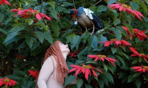 The Diaries of Adam and Eve