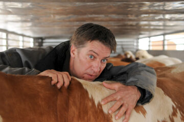 Bauernopfer TV Fernsehen 3sat Streamen online Mediathek Video on Demand DVD kaufen