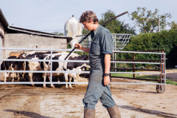 Bloody Milk Petit Paysan TV Fernsehen arte Streamen online Mediathek Video on Demand DVD kaufen