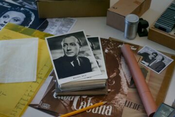 Im Schatten der Träume