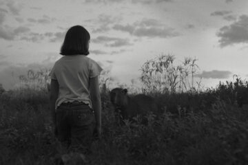 The Message El mensaje