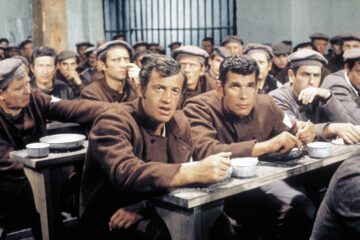 Der Mann aus Marseille La Scoumoune Tv Fernsehen arte Streamen online Mediathek Video on Demand DVD kaufen