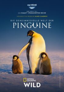 Die geheimnisvolle Welt der Pinguine Secrts of the Penguins National Geographic Disney+ Streamen online
