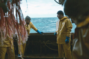 Nur 37 Sekunden 37 secondes TV Fernsehen arte Streamen online Mediathek Video on Demand DVD kaufen