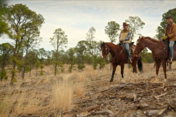 Ransom Canyon Netflix Streamen online