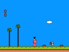 Super Mario Bros 2