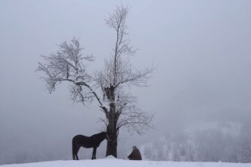 At the Door of the House Who Will Come Knocking