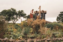 Harvest