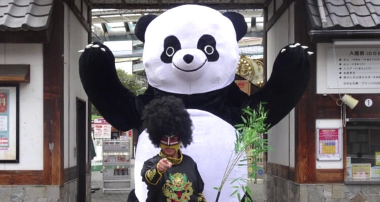 New Nemuro Pro Wrestling Story