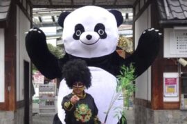 New Nemuro Pro Wrestling Story