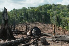Transamazonia