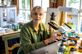 Inga Lindström: Schmetterlinge im Bauch TV Fernsehen ZDF Streamen online Mediathek Video on Demand DVD kaufen