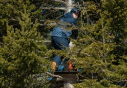 Familie, aber nur fast Almost Family Família, Pero No Mucho Netflix Streamen online