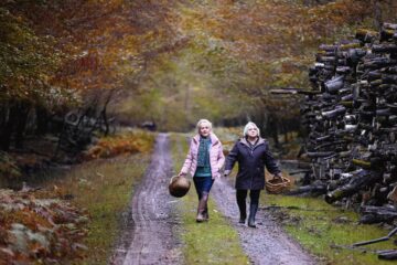 Wenn der Herbst naht Quand vient l'automne