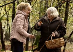 Wenn der Herbst naht Quand vient l