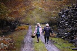 Wenn der Herbst naht Quand vient l'automne