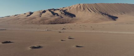 Bitter Gold Oro Amargo