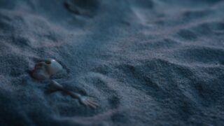 Un milione di granelli di sabbia Eine Million Sandkörnchen