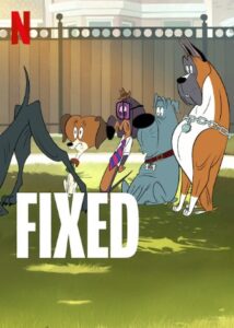 Fixed Netflix Streamen online