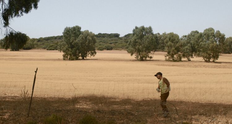 Nella colonia penale In the Penal Colony