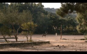 Nella colonia penale In the Penal Colony