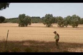 Nella colonia penale In the Penal Colony