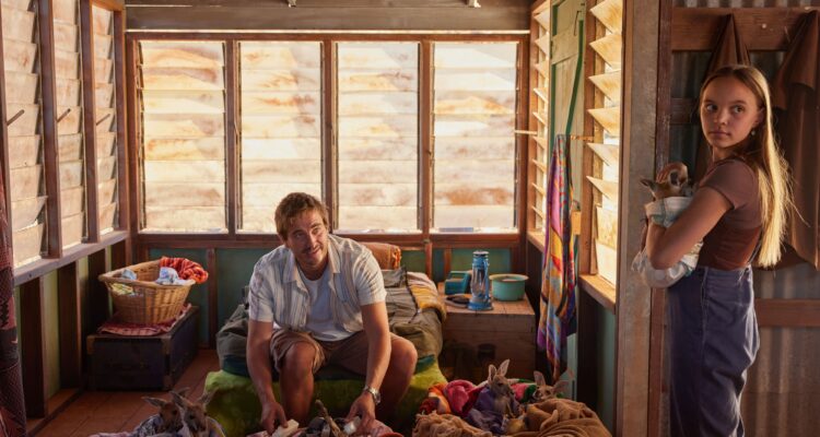 Lilly und die Kängurus Kangaroo