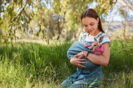 Lilly und die Kängurus Kangaroo