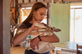 Lilly und die Kängurus Kangaroo