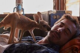 Lilly und die Kängurus Kangaroo