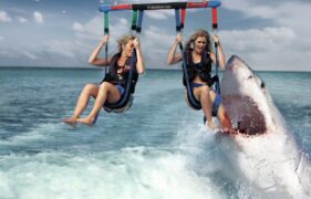 Shark Lake Tv Fernsehen Tele 5 DVD kaufen Streamen online Mediathek Video on Demand