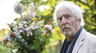 Trapps Sommer Tv Fernsehen Das Erste ARD Streamen online Mediathek Video on Demand DVD kaufen