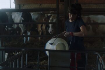 Viel Nebel im November