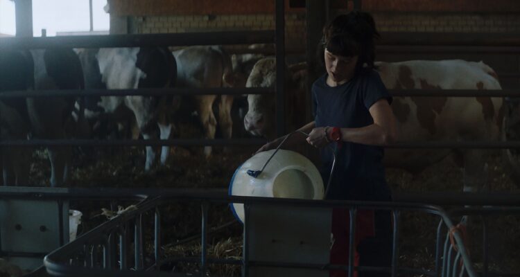 Viel Nebel im November