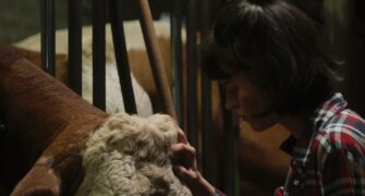 Viel Nebel im November