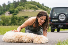 Zwei Frauen für alle Felle Neuanfang TV Fernsehen ARD Das Erste Streamen online Mediathek Video on Demand DVD kaufen