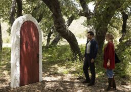 A Big Bold Beautiful Journey