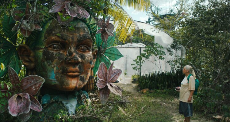 O último azul Das tiefste Blau The Blue Trial