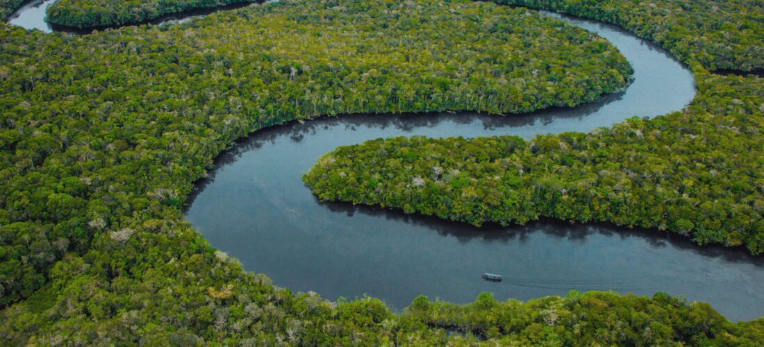 O último azul Das tiefste Blau The Blue Trial