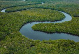 O último azul Das tiefste Blau The Blue Trial