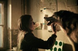 Der Rote Wolf. Ein Krimi aus Passau Tv Fernsehen Das Erste ARD Streamen online Mediathek Video on Demand DVD kaufen