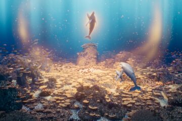 Der letzte Walsänger