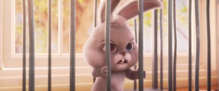 Der schlaue Hase Momo: Die große Verfolgung Akilli Tavsan Momo: Büyük Takip