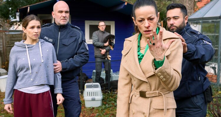 Die Heiland – Wir sind Anwalt Welpenhandel TV Fernsehen Das Erste ARD Streamen online Mediathek Video on Demand DVD kaufen