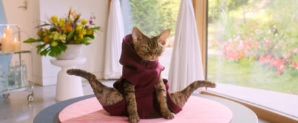 Gabby’s Dollhouse: Der Film