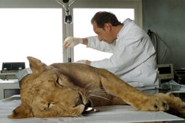 Entre ses mains In seinen Händen 2005 TV Fernsehen arte Streamen online Mediathek Video on Demand DVD kaufen