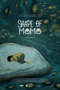 Shape of Momo