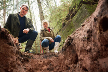 Tatort: Ich sehe dich Tv Fernsehen Das Erste ARD Streamen online Mediathek Video on Demand DVD kaufen