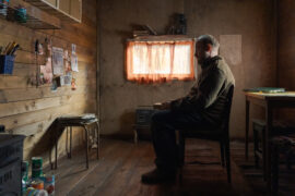 Wolfssommer Blutige Spuren Vargasommar Tv Fernsehen ZDF Streamen online Mediathek Video on Demand DVD kaufen