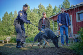 Wolfssommer Blutige Spuren Vargasommar Tv Fernsehen ZDF Streamen online Mediathek Video on Demand DVD kaufen